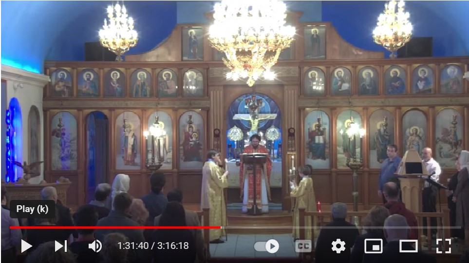 Live Stream