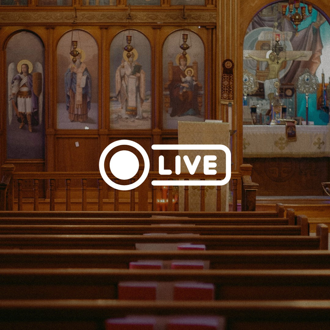 Live Stream 